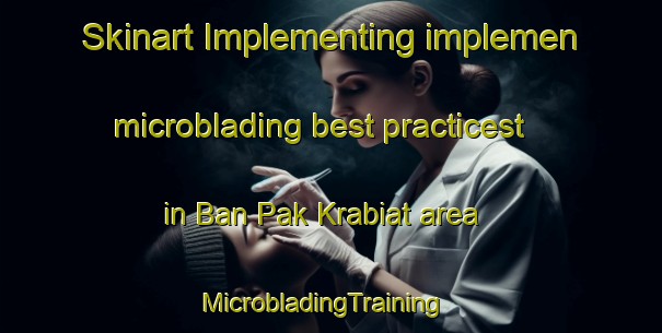 Skinart Implementing implemen microblading best practicest in Ban Pak Krabiat area | MicrobladingTraining | MicrobladingClasses | SkinartTraining-Thailand