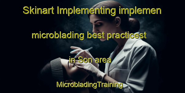 Skinart Implementing implemen microblading best practicest in Son area | MicrobladingTraining | MicrobladingClasses | SkinartTraining-Thailand