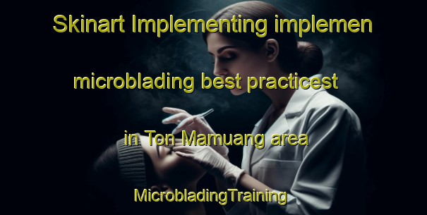 Skinart Implementing implemen microblading best practicest in Ton Mamuang area | #MicrobladingTraining #MicrobladingClasses #SkinartTraining-Thailand