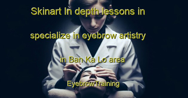Skinart In-depth lessons in specialize in eyebrow artistry in Ban Ka Lo area | EyebrowTraining | EyebrowClasses | SkinartTraining-Thailand