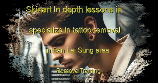 Skinart In-depth lessons in specialize in tattoo removal in Ban Lai Sung area | RemovalTraining | RemovalClasses | SkinartTraining-Thailand