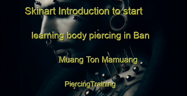 Skinart Introduction to start learning body piercing in Ban Muang Ton Mamuang | PiercingTraining | PiercingClasses | SkinartTraining-Thailand