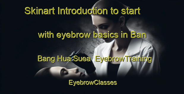 Skinart Introduction to start with eyebrow basics in Ban Bang Hua Suea | EyebrowTraining | EyebrowClasses | SkinartTraining-Thailand