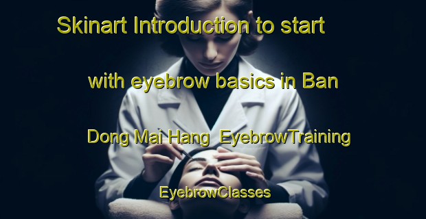 Skinart Introduction to start with eyebrow basics in Ban Dong Mai Hang | EyebrowTraining | EyebrowClasses | SkinartTraining-Thailand