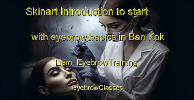 Skinart Introduction to start with eyebrow basics in Ban Kok Liam | EyebrowTraining | EyebrowClasses | SkinartTraining-Thailand