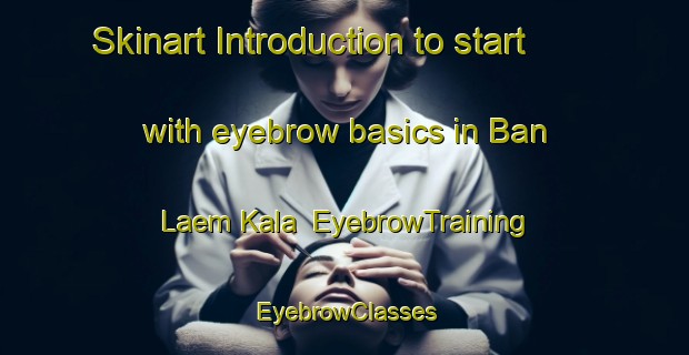 Skinart Introduction to start with eyebrow basics in Ban Laem Kala | EyebrowTraining | EyebrowClasses | SkinartTraining-Thailand