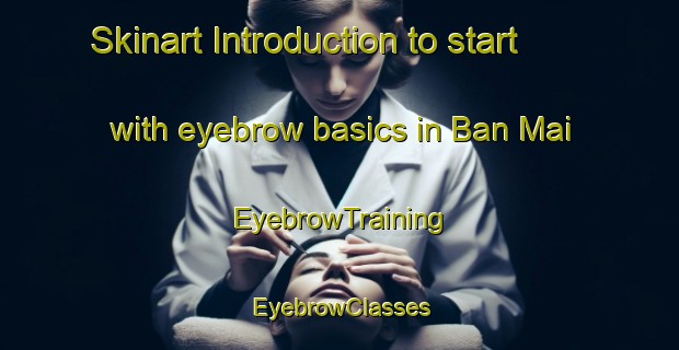 Skinart Introduction to start with eyebrow basics in Ban Mai | EyebrowTraining | EyebrowClasses | SkinartTraining-Thailand