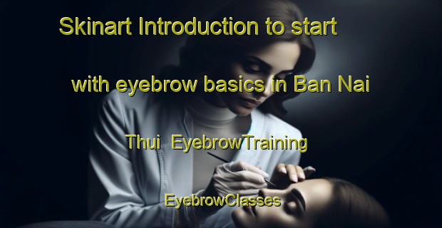 Skinart Introduction to start with eyebrow basics in Ban Nai Thui | EyebrowTraining | EyebrowClasses | SkinartTraining-Thailand