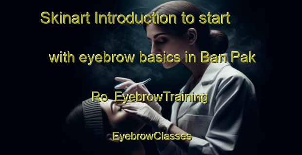 Skinart Introduction to start with eyebrow basics in Ban Pak Ro | EyebrowTraining | EyebrowClasses | SkinartTraining-Thailand