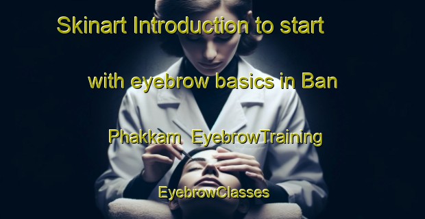 Skinart Introduction to start with eyebrow basics in Ban Phakkam | EyebrowTraining | EyebrowClasses | SkinartTraining-Thailand