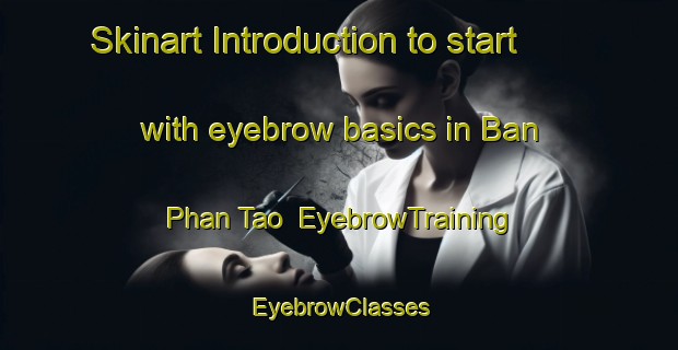 Skinart Introduction to start with eyebrow basics in Ban Phan Tao | EyebrowTraining | EyebrowClasses | SkinartTraining-Thailand