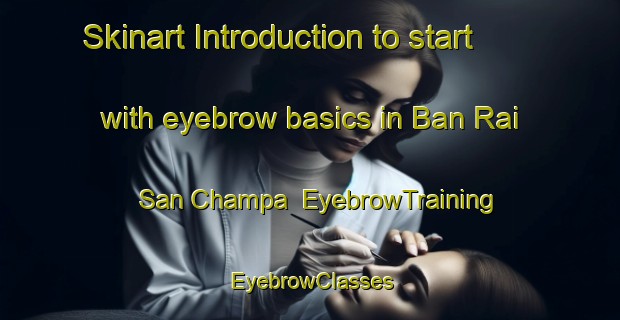 Skinart Introduction to start with eyebrow basics in Ban Rai San Champa | EyebrowTraining | EyebrowClasses | SkinartTraining-Thailand