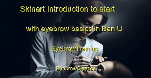 Skinart Introduction to start with eyebrow basics in Ban U | EyebrowTraining | EyebrowClasses | SkinartTraining-Thailand