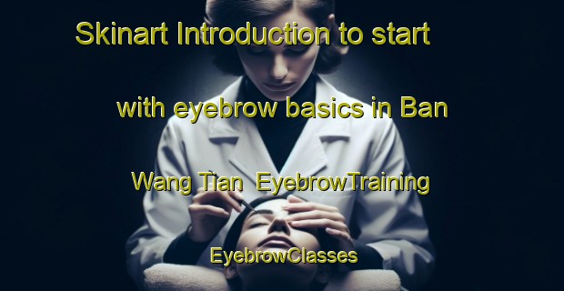 Skinart Introduction to start with eyebrow basics in Ban Wang Tian | EyebrowTraining | EyebrowClasses | SkinartTraining-Thailand