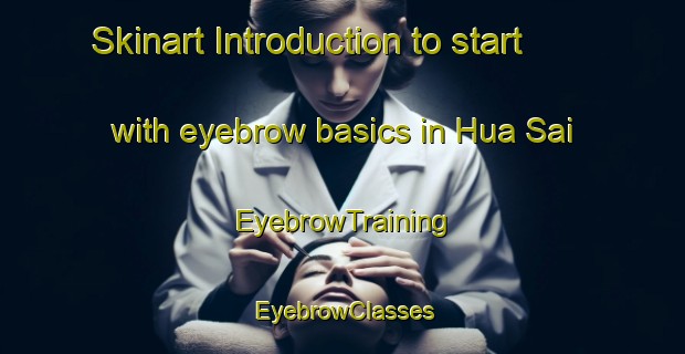 Skinart Introduction to start with eyebrow basics in Hua Sai | EyebrowTraining | EyebrowClasses | SkinartTraining-Thailand