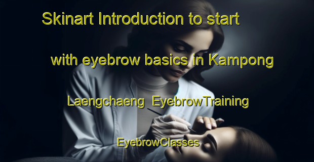 Skinart Introduction to start with eyebrow basics in Kampong Laengchaeng | EyebrowTraining | EyebrowClasses | SkinartTraining-Thailand