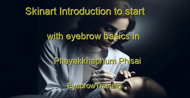 Skinart Introduction to start with eyebrow basics in Phayakkhaphum Phisai | EyebrowTraining | EyebrowClasses | SkinartTraining-Thailand