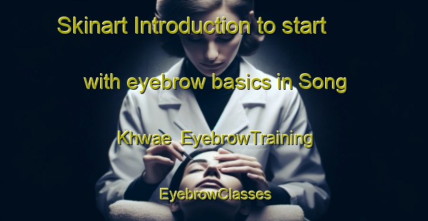 Skinart Introduction to start with eyebrow basics in Song Khwae | EyebrowTraining | EyebrowClasses | SkinartTraining-Thailand