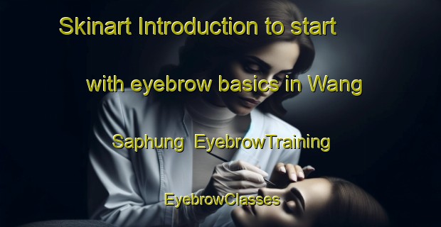 Skinart Introduction to start with eyebrow basics in Wang Saphung | EyebrowTraining | EyebrowClasses | SkinartTraining-Thailand