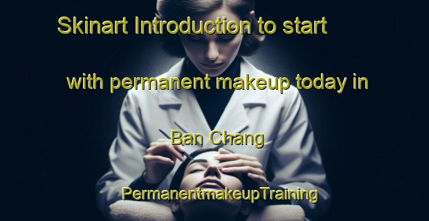 Skinart Introduction to start with permanent makeup today in Ban Chang | PermanentmakeupTraining | PermanentmakeupClasses | SkinartTraining-Thailand