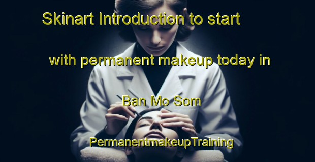 Skinart Introduction to start with permanent makeup today in Ban Mo Som | PermanentmakeupTraining | PermanentmakeupClasses | SkinartTraining-Thailand