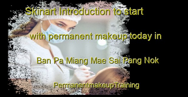 Skinart Introduction to start with permanent makeup today in Ban Pa Miang Mae Sai Pang Nok | PermanentmakeupTraining | PermanentmakeupClasses | SkinartTraining-Thailand