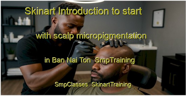 Skinart Introduction to start with scalp micropigmentation in Ban Nai Ton | SmpTraining | SmpClasses | SkinartTraining-Thailand