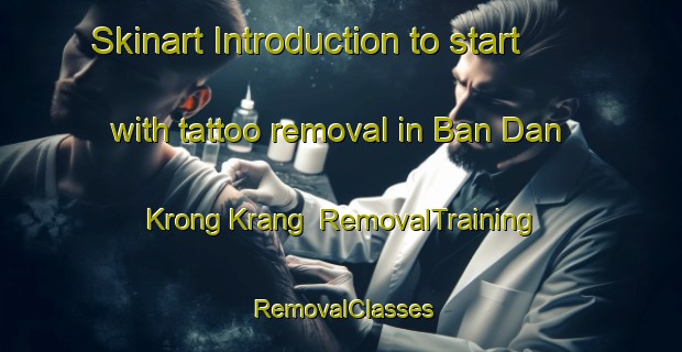 Skinart Introduction to start with tattoo removal in Ban Dan Krong Krang | RemovalTraining | RemovalClasses | SkinartTraining-Thailand