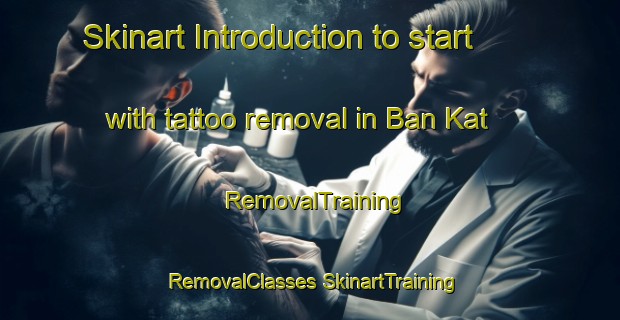 Skinart Introduction to start with tattoo removal in Ban Kat | #RemovalTraining #RemovalClasses #SkinartTraining-Thailand