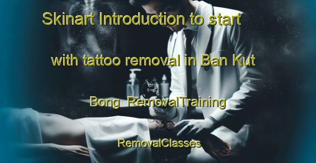 Skinart Introduction to start with tattoo removal in Ban Kut Bong | RemovalTraining | RemovalClasses | SkinartTraining-Thailand