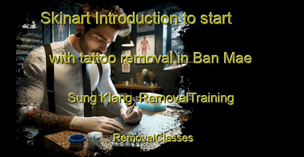 Skinart Introduction to start with tattoo removal in Ban Mae Sung Klang | RemovalTraining | RemovalClasses | SkinartTraining-Thailand