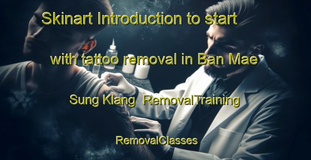 Skinart Introduction to start with tattoo removal in Ban Mae Sung Klang | RemovalTraining | RemovalClasses | SkinartTraining-Thailand