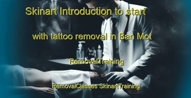 Skinart Introduction to start with tattoo removal in Ban Mot | #RemovalTraining #RemovalClasses #SkinartTraining-Thailand