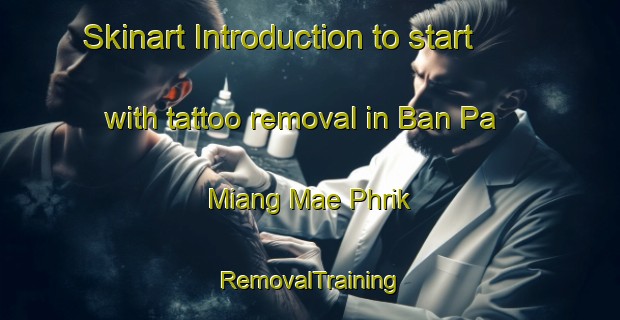 Skinart Introduction to start with tattoo removal in Ban Pa Miang Mae Phrik | RemovalTraining | RemovalClasses | SkinartTraining-Thailand