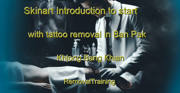 Skinart Introduction to start with tattoo removal in Ban Pak Khlong Bang Khian | RemovalTraining | RemovalClasses | SkinartTraining-Thailand