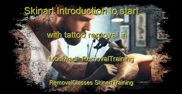 Skinart Introduction to start with tattoo removal in Moeiwadi | #RemovalTraining #RemovalClasses #SkinartTraining-Thailand