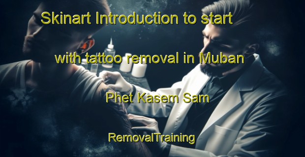 Skinart Introduction to start with tattoo removal in Muban Phet Kasem Sam | RemovalTraining | RemovalClasses | SkinartTraining-Thailand