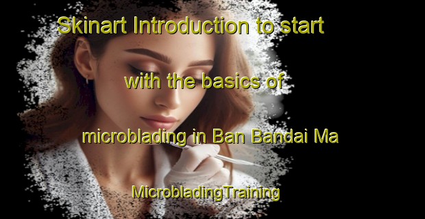 Skinart Introduction to start with the basics of microblading in Ban Bandai Ma | MicrobladingTraining | MicrobladingClasses | SkinartTraining-Thailand