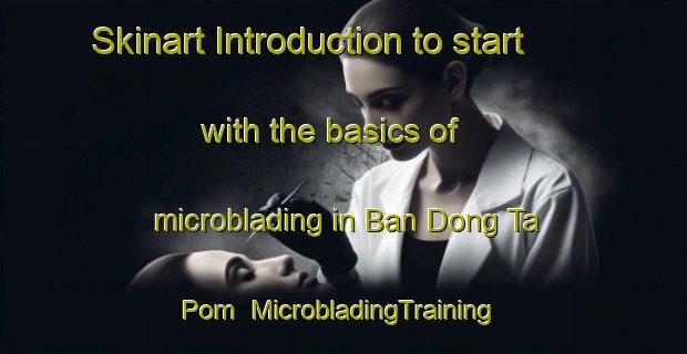 Skinart Introduction to start with the basics of microblading in Ban Dong Ta Pom | MicrobladingTraining | MicrobladingClasses | SkinartTraining-Thailand