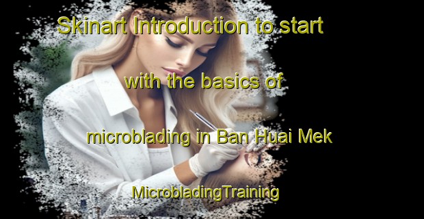 Skinart Introduction to start with the basics of microblading in Ban Huai Mek | MicrobladingTraining | MicrobladingClasses | SkinartTraining-Thailand