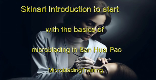 Skinart Introduction to start with the basics of microblading in Ban Huai Pao | MicrobladingTraining | MicrobladingClasses | SkinartTraining-Thailand