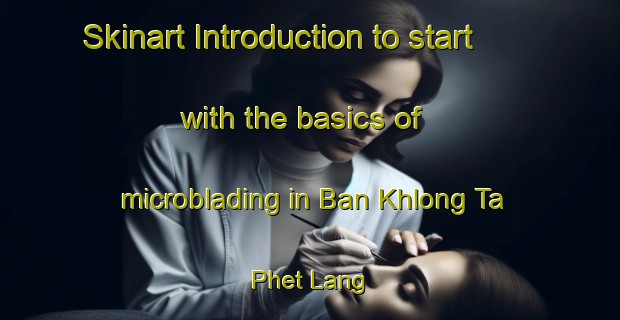 Skinart Introduction to start with the basics of microblading in Ban Khlong Ta Phet Lang | MicrobladingTraining | MicrobladingClasses | SkinartTraining-Thailand
