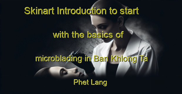 Skinart Introduction to start with the basics of microblading in Ban Khlong Ta Phet Lang | MicrobladingTraining | MicrobladingClasses | SkinartTraining-Thailand