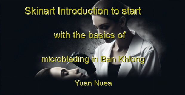 Skinart Introduction to start with the basics of microblading in Ban Khlong Yuan Nuea | MicrobladingTraining | MicrobladingClasses | SkinartTraining-Thailand