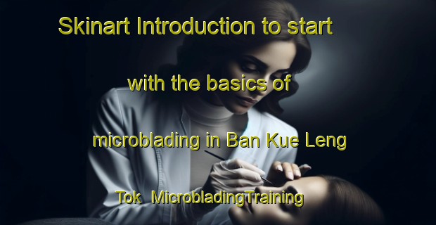 Skinart Introduction to start with the basics of microblading in Ban Kue Leng Tok | MicrobladingTraining | MicrobladingClasses | SkinartTraining-Thailand