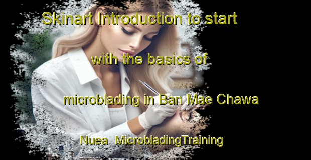 Skinart Introduction to start with the basics of microblading in Ban Mae Chawa Nuea | MicrobladingTraining | MicrobladingClasses | SkinartTraining-Thailand