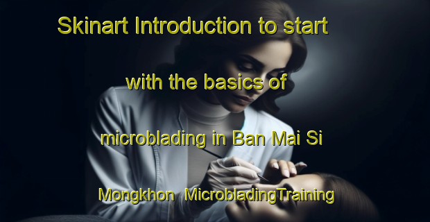 Skinart Introduction to start with the basics of microblading in Ban Mai Si Mongkhon | MicrobladingTraining | MicrobladingClasses | SkinartTraining-Thailand