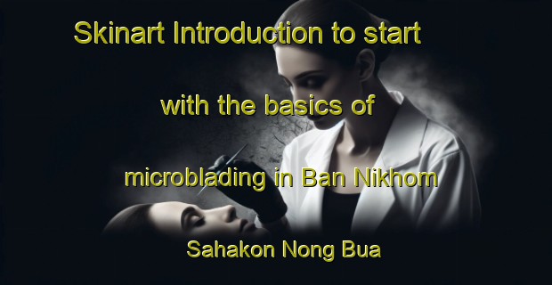 Skinart Introduction to start with the basics of microblading in Ban Nikhom Sahakon Nong Bua | MicrobladingTraining | MicrobladingClasses | SkinartTraining-Thailand