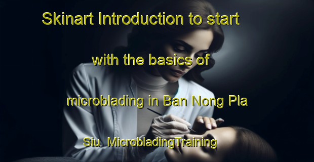 Skinart Introduction to start with the basics of microblading in Ban Nong Pla Siu | MicrobladingTraining | MicrobladingClasses | SkinartTraining-Thailand