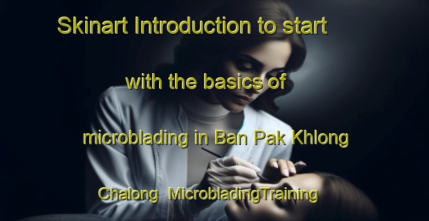 Skinart Introduction to start with the basics of microblading in Ban Pak Khlong Chalong | MicrobladingTraining | MicrobladingClasses | SkinartTraining-Thailand